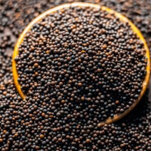 Mustard seeds/கடுகு 100g